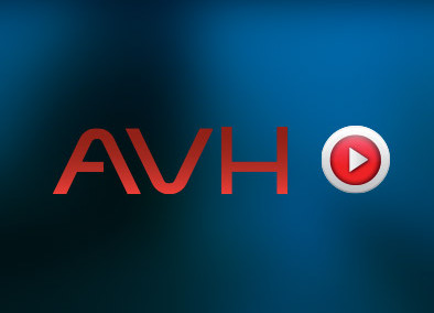 AVH | Brand y Web Design